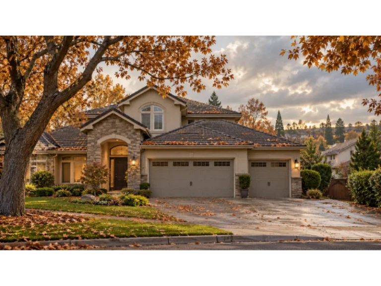 Best Time to Clean Gutters in Roseville, CA