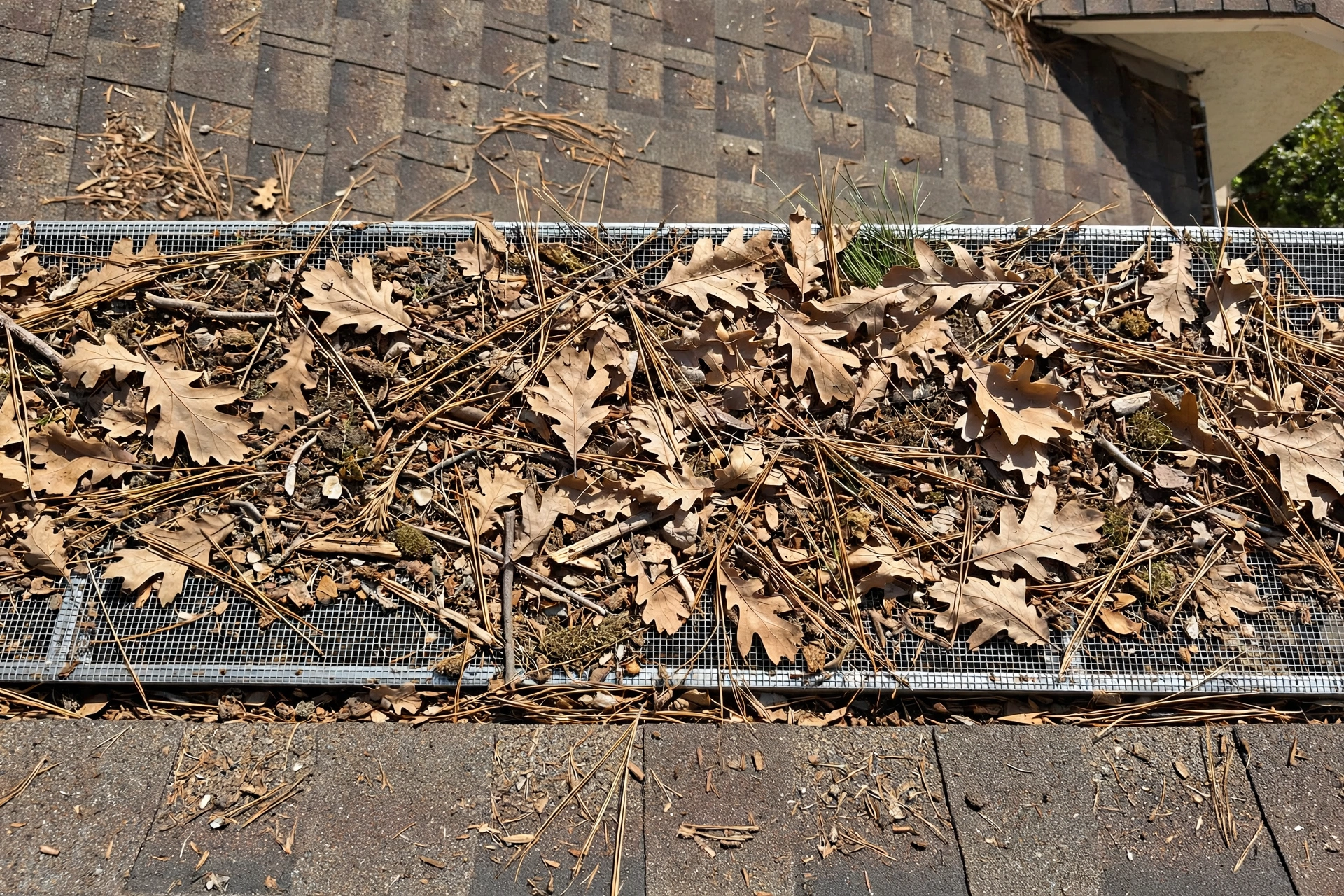 Debris sitting on top of gutter guards
